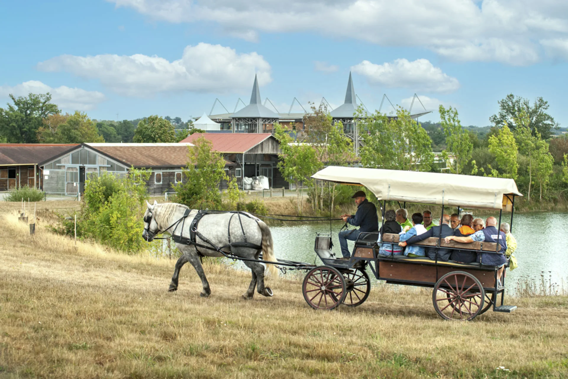 Balade en calèche au Pôle du Cheval et de l'Âne