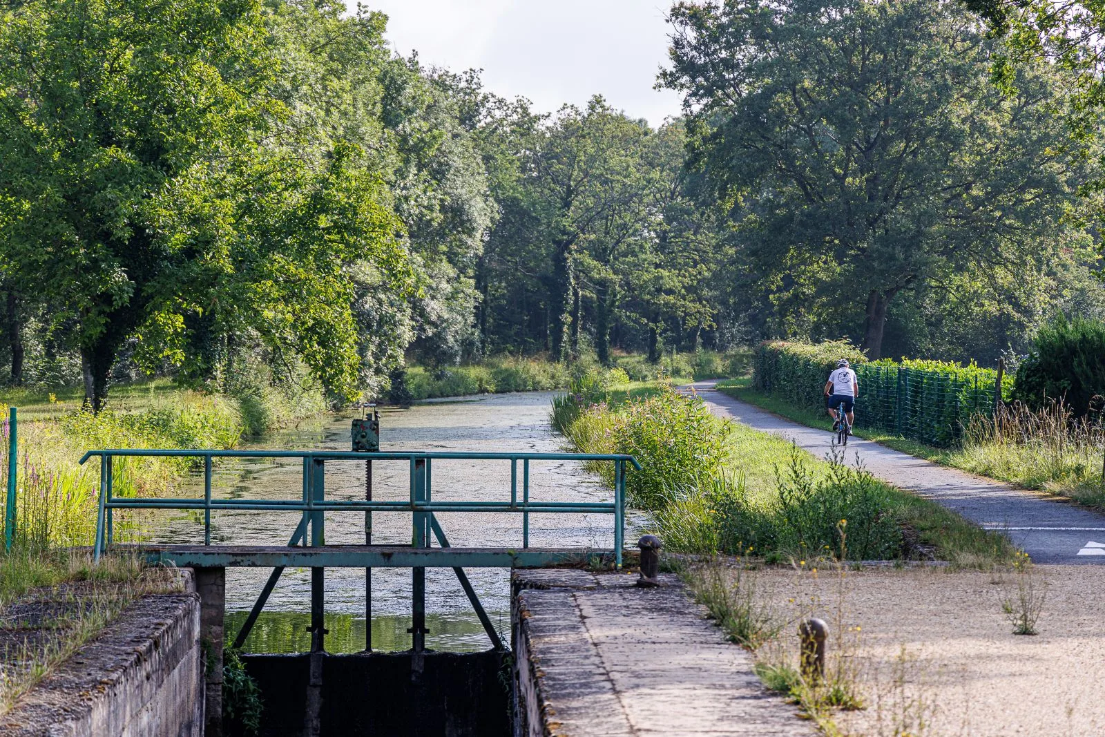 Au premier plan une écluse et sur le chemin de halage un cyclotouriste de dos