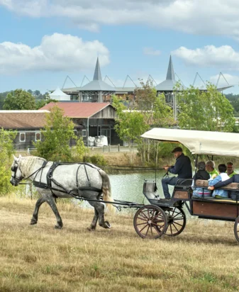 Balade en calèche au Pôle du Cheval et de l'Âne