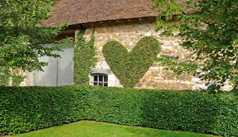 Jardin du prieuré d'orsan