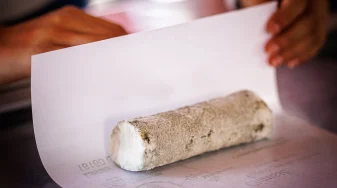 Fromage de chèvre - producteurs
