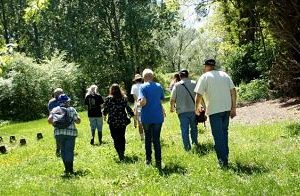 marais-chavannes-decouverte-accompagnée