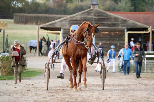 Les courses hippiques 2025