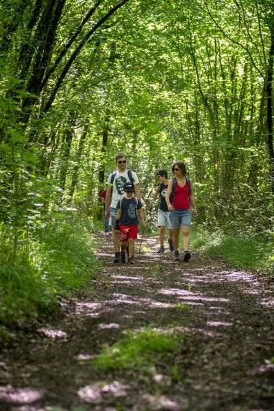 Les randonnées estivales organisée