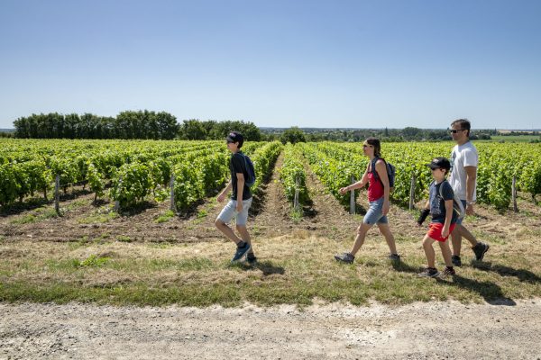 Rando-vignes-venesmes