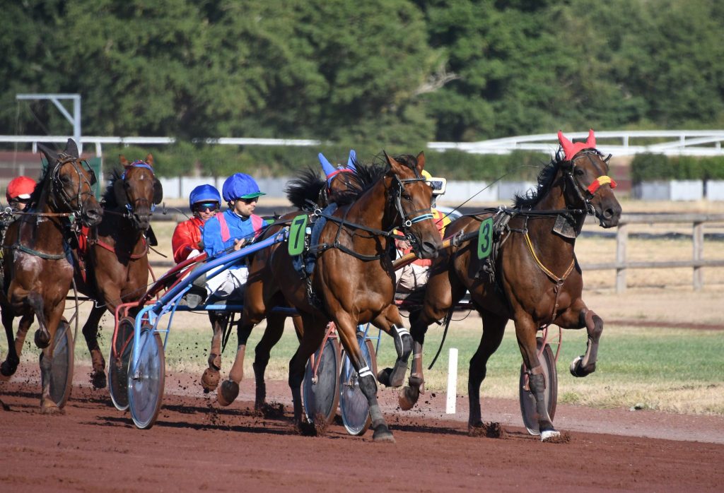 trot-courses-hippiques-lignieres