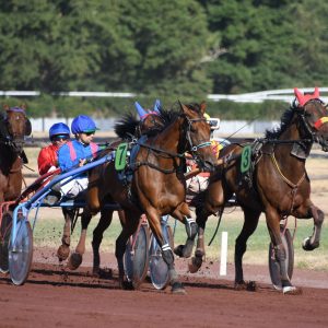 trot-courses-hippiques-lignieres