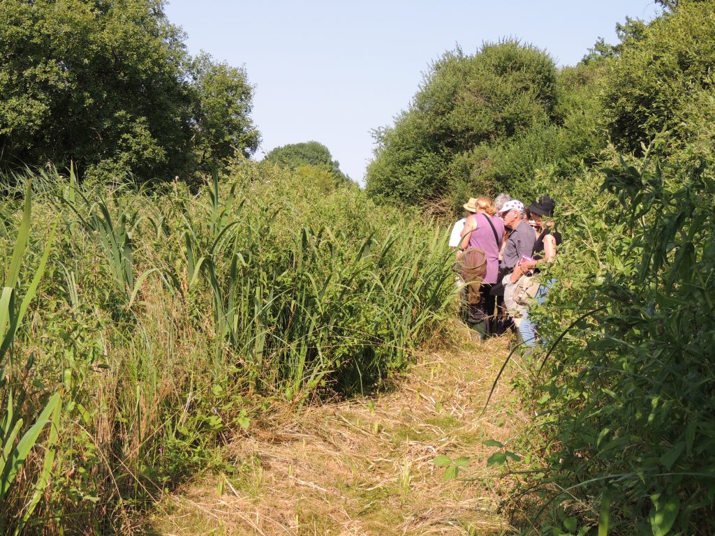 02_Marais de Chavannes_CD18_ok