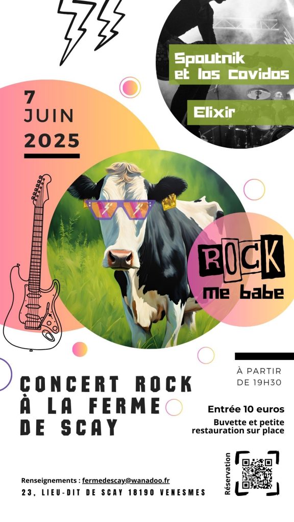 Concert Rock (Votre story) – 1