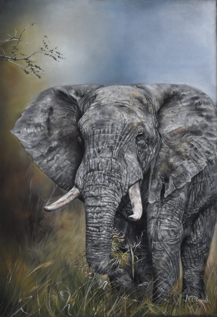 2024-01 Eléphant 3