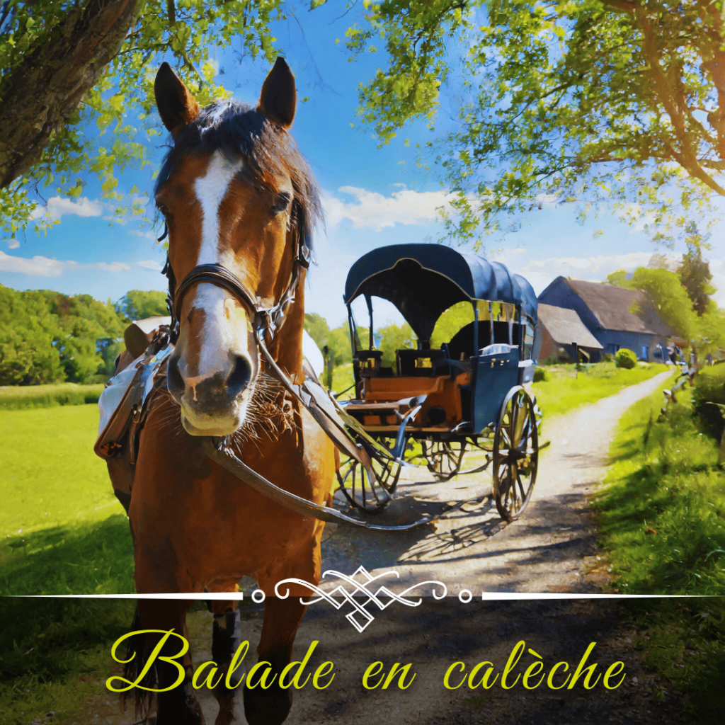 Balade en calèche