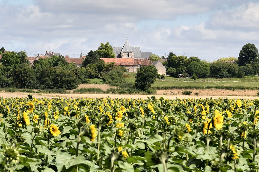 Balade Montlouis 026