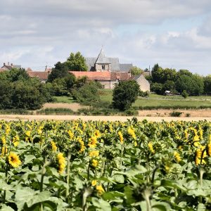 Balade Montlouis 026