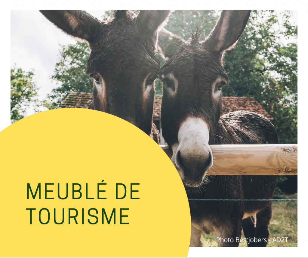 Meublé de tourisme