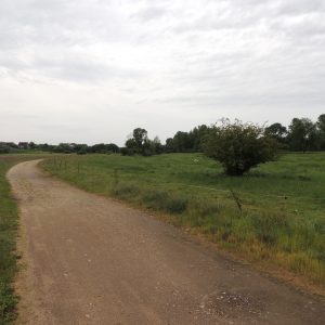 DSCN1187