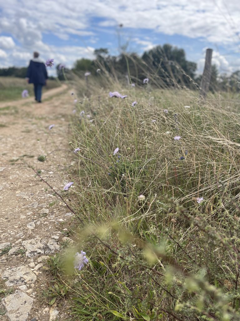 ENS Sablons de Corquoy