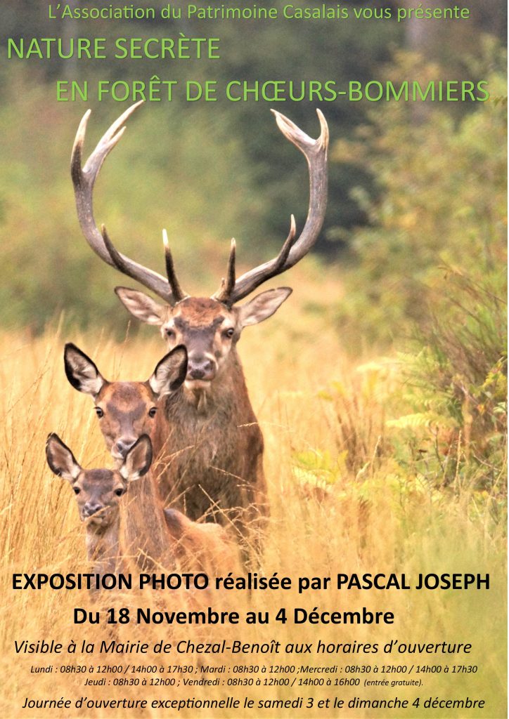 Exposition photo Pascal Joseph chezal jusqu’au 4.12