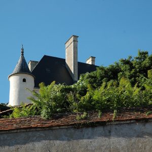 Gîte Castelnaute 061