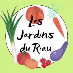 Logo 2