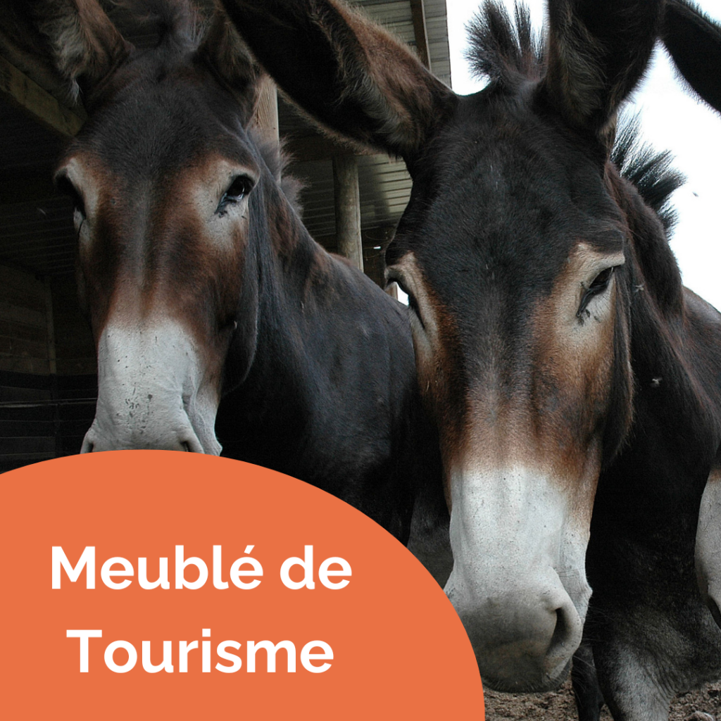 Meublé de Tourisme – 1