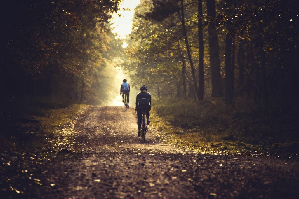 Puce velo – cycling-7564103_1280