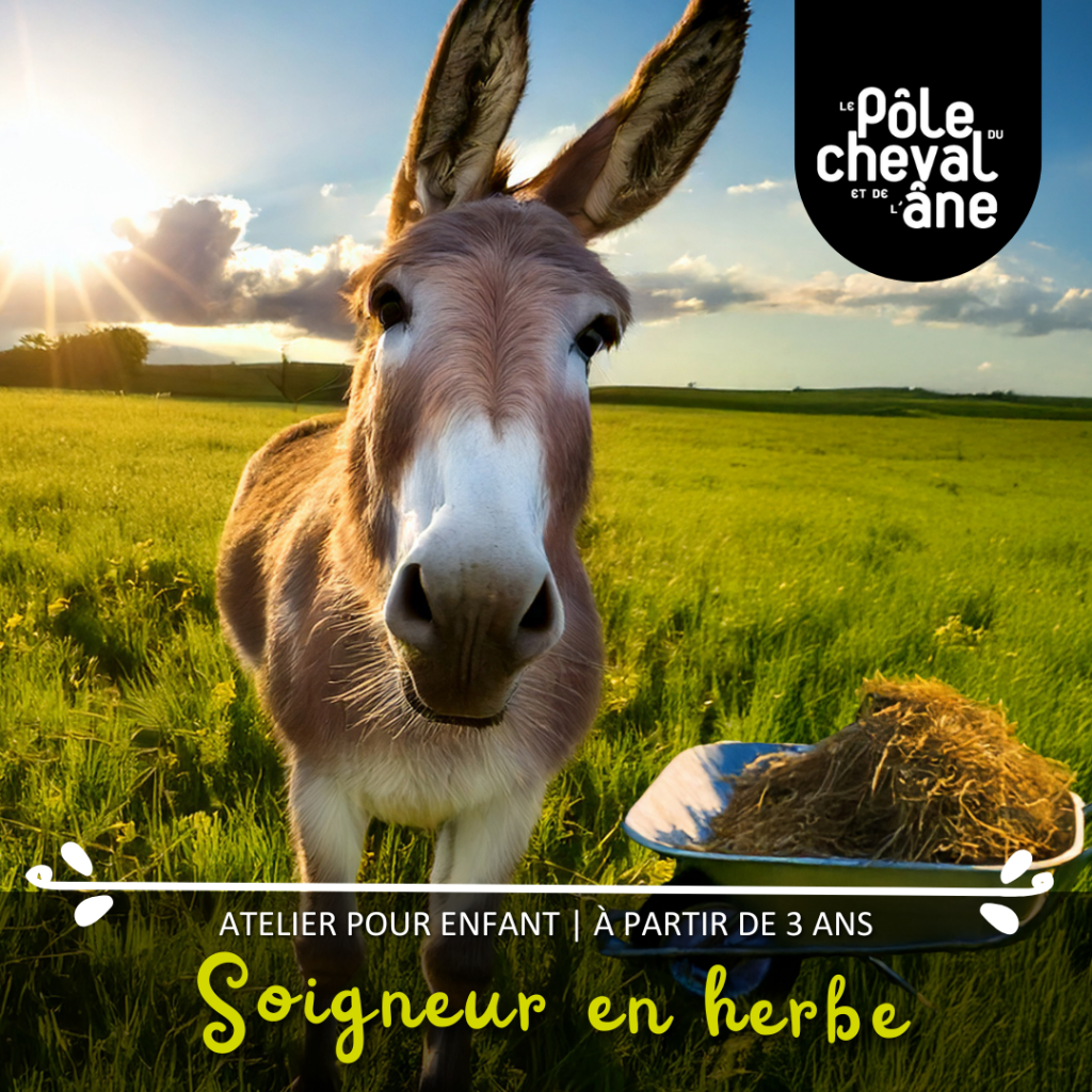 Atelier soigneur en herbe