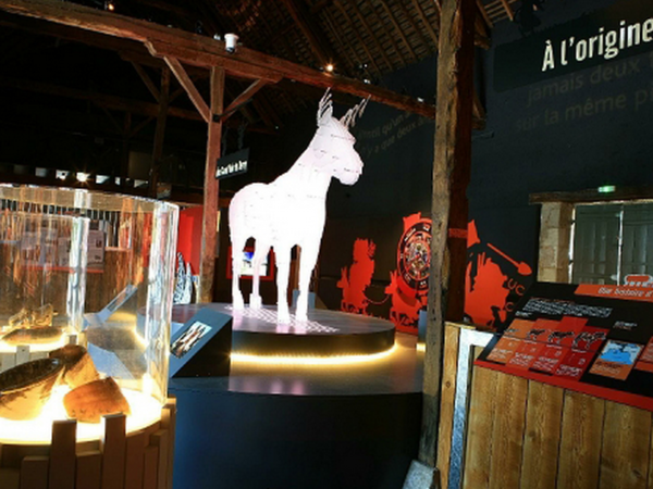 Musée de Sitazin – Le Pôle du Cheval et de l’Âne