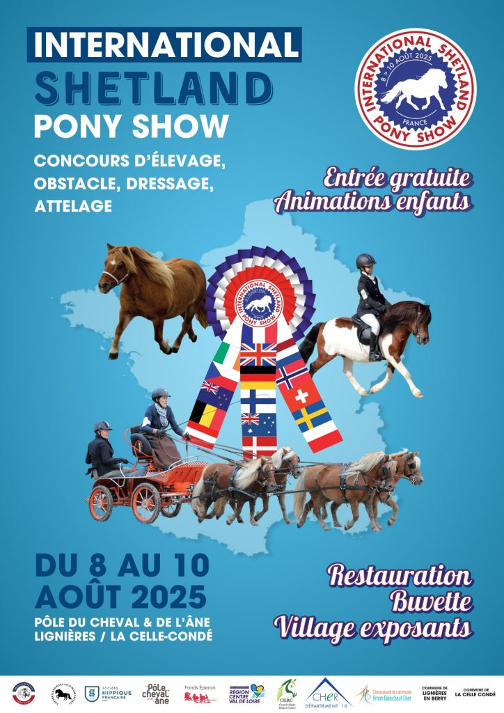 Shetland-pony-show