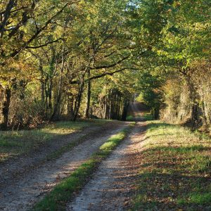 chemin-rando