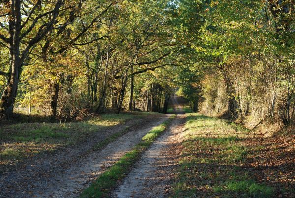 chemin-rando