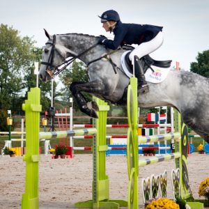 compétition au pole du cheval et de l’ane