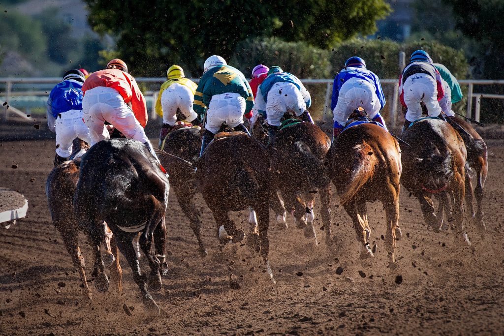 course puce chevaux