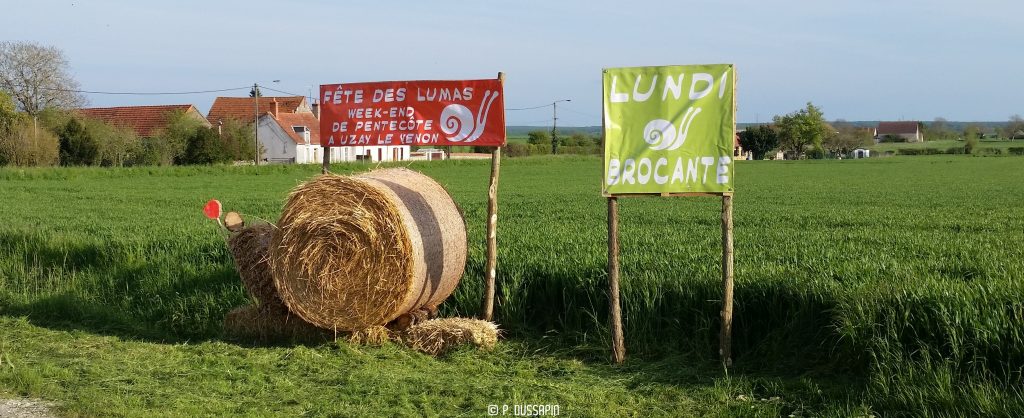 fete des lumas