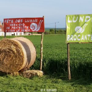 fete des lumas