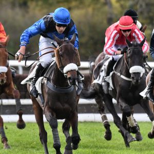 galop-4