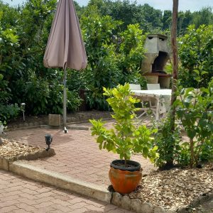 jardin le ch’tit bigny