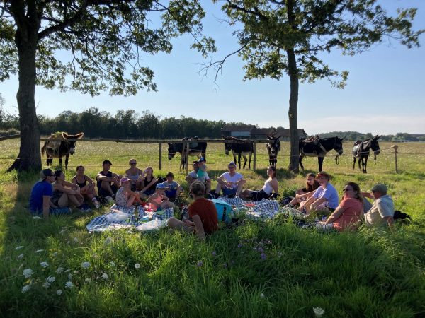 Une journée hors des sentiers battus au Pôle du Cheval et de l’Âne