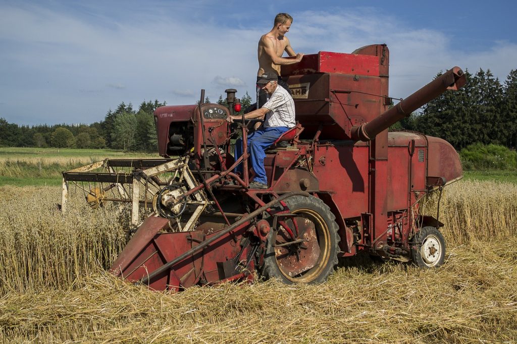 moisson batteuse puce vieux agricole