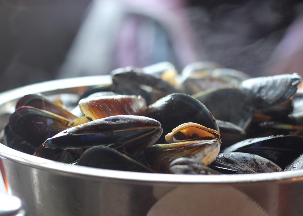 mussels–moules