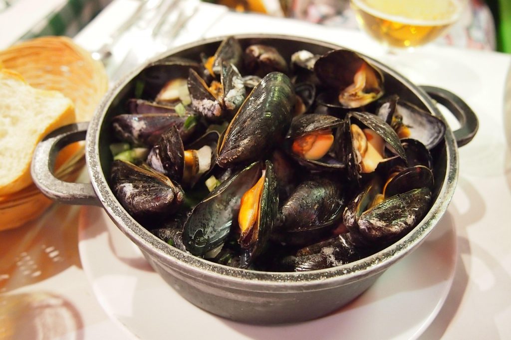 mussels-6468618_1280