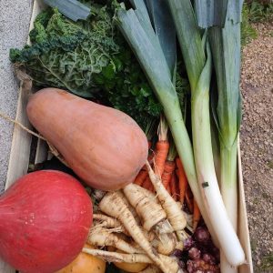 panier légumes ferme giraults venesmes chenier ludovic