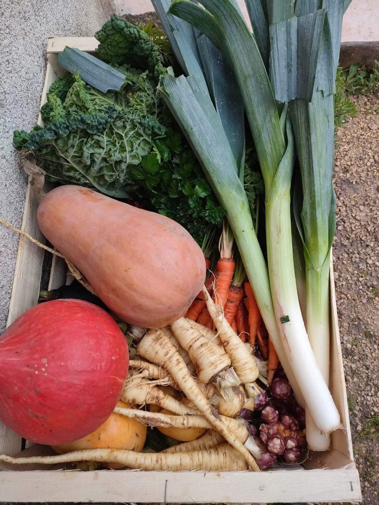 panier légumes ferme giraults venesmes chenier ludovic