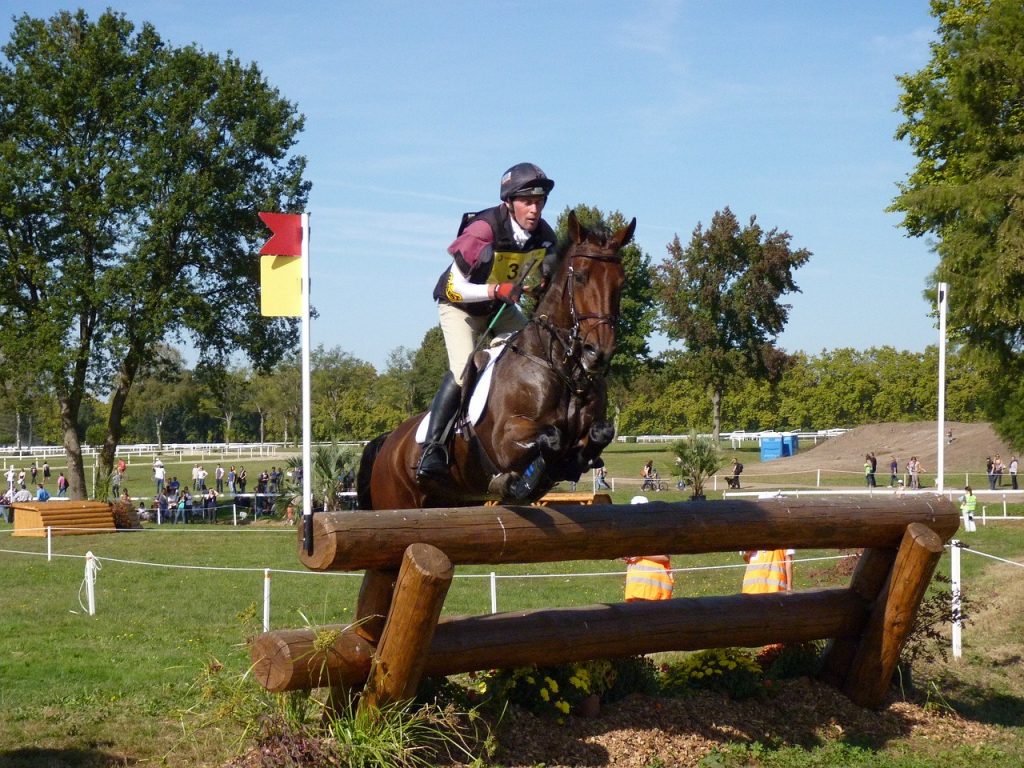 puce cross cheval pixabay