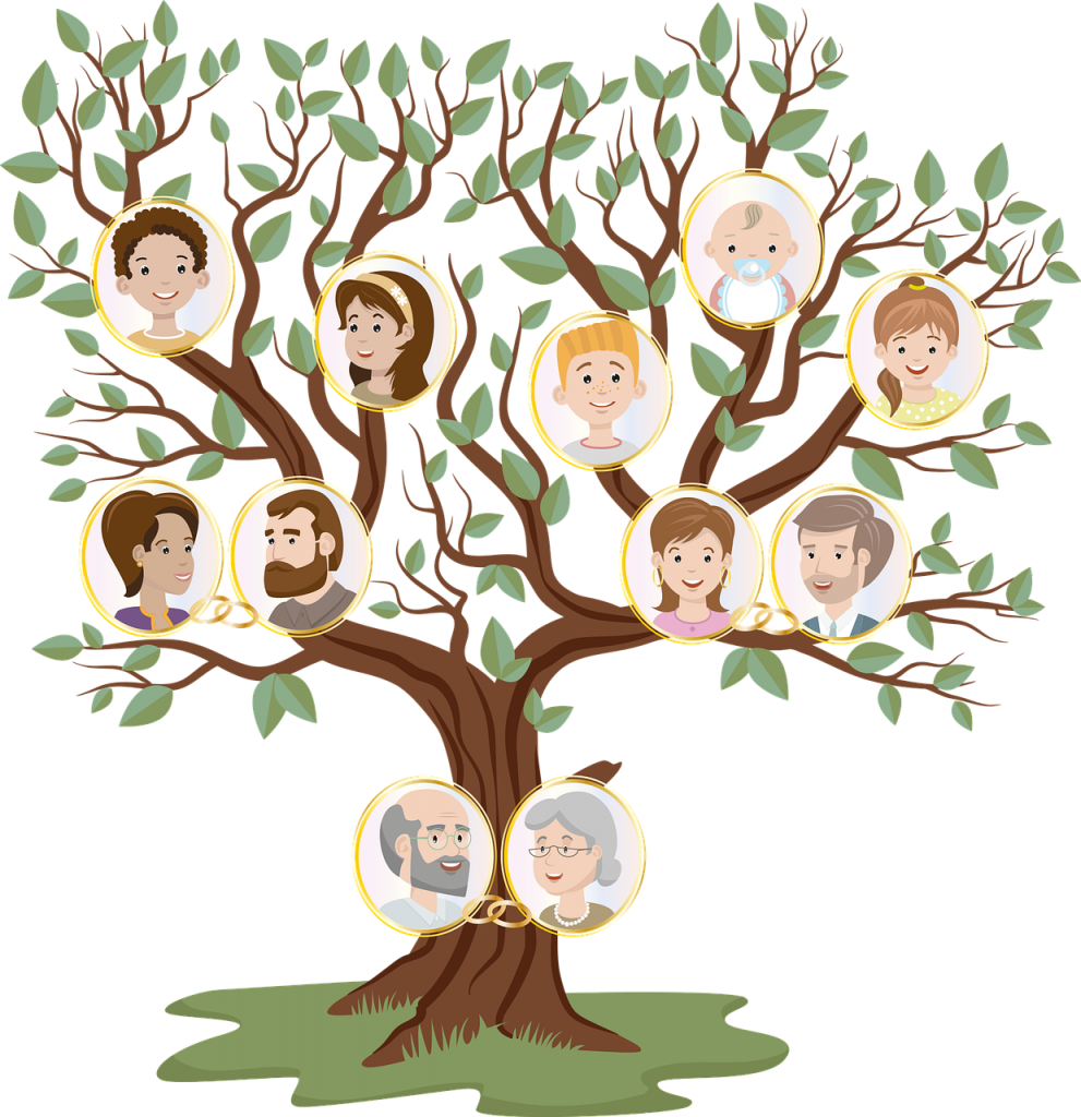 puce famille généalogie genealogie atelier arbre ancetre