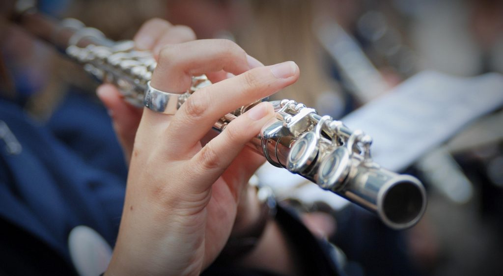 puce flute harmonie fanfare musique instrument