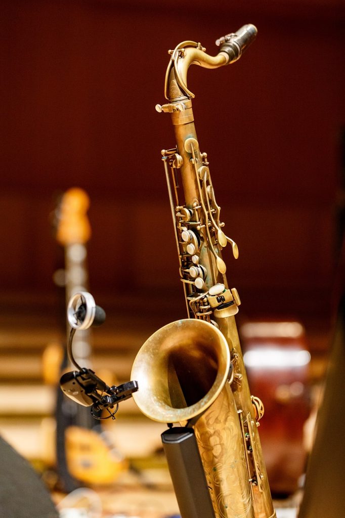 saxophone saxo instrument musique concert cuivre puce