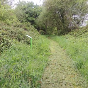 sentier avec panneau