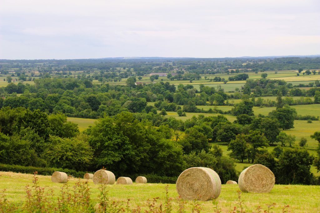 vue sur la Vallée de TOUCHAY (1)