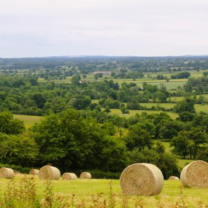 vue sur la Vallée de TOUCHAY (1)